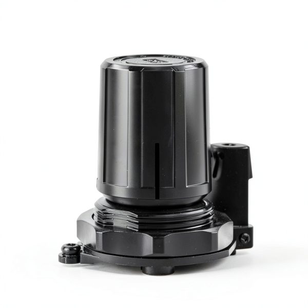 Low Pressure Air Regulator SNS AR2000-N02 0-40 PSI Bracket & Gauge-1