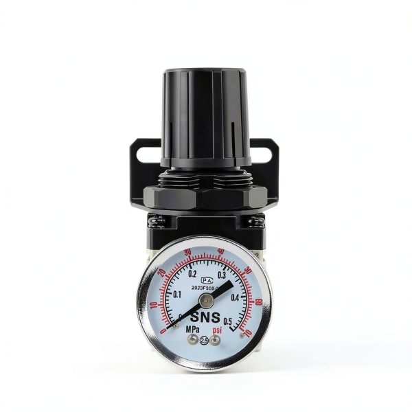 Low Pressure Air Regulator SNS AR2000-N02 0-40 PSI Bracket & Gauge-2