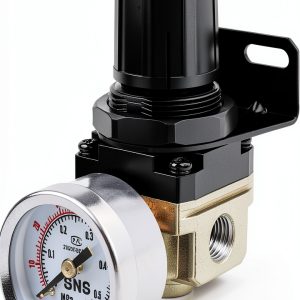 Low Pressure Air Regulator SNS AR2000-N02 0-40 PSI Bracket & Gauge-0