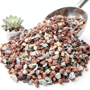 NUPICK 3lb Mix Horticultural Lava Rocks for Succulents, Cactus, Bonsai-0