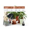 NUPICK 3lb Mix Horticultural Lava Rocks for Succulents, Cactus, Bonsai-5