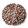 NUPICK 3lb Mix Horticultural Lava Rocks for Succulents, Cactus, Bonsai-6