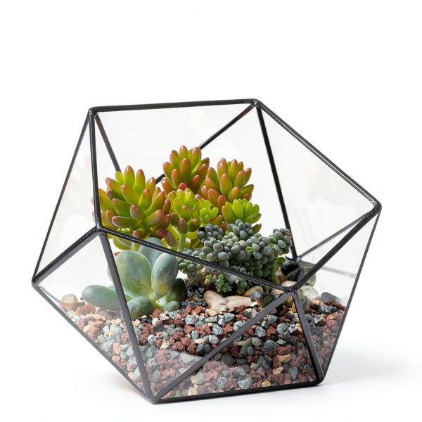 NUPICK 3lb Mix Horticultural Lava Rocks for Succulents, Cactus, Bonsai-4