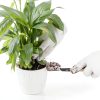 NUPICK 3lb Mix Horticultural Lava Rocks for Succulents, Cactus, Bonsai-3